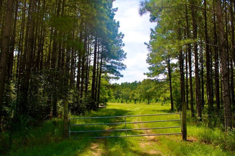 EE8DA1EF-A266-4DEC-9F5E-4313FF20753B_1_105_c