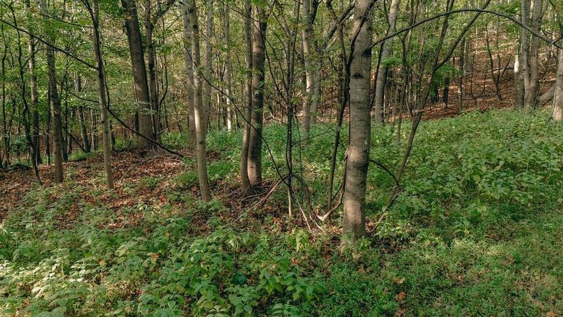 Miller-Hawkins pic 17