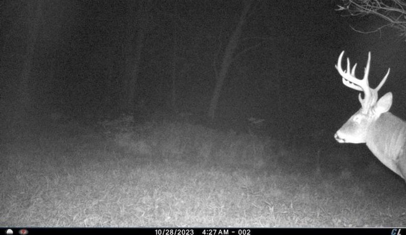 TRAIL CAM 26