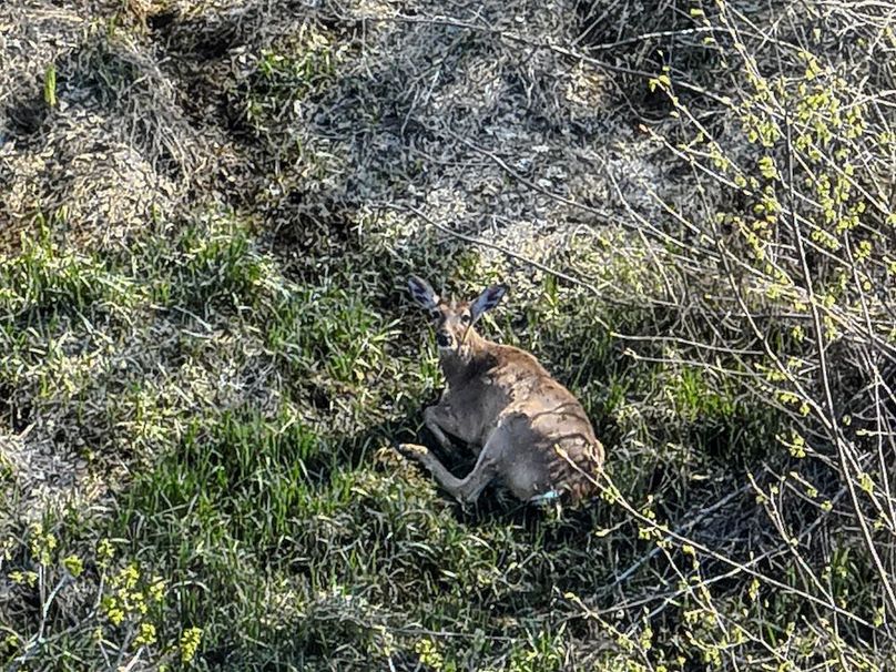 DJI_20260423060052_0036_V