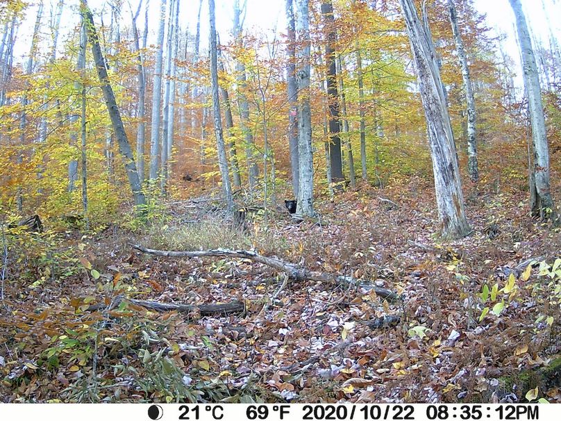 Webster, WV 21.15 AC HardwayCamp-27