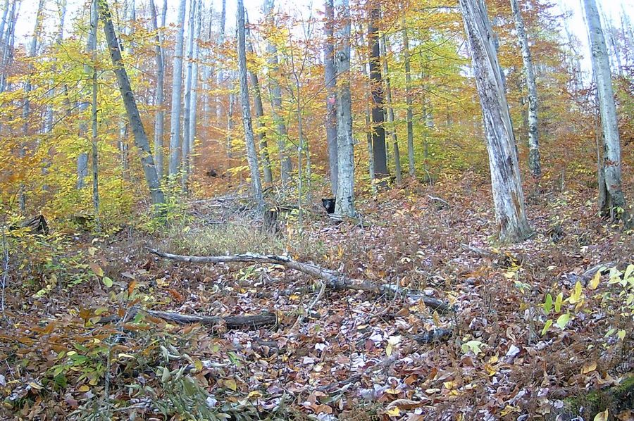Webster, WV 21.15 AC HardwayCamp-27