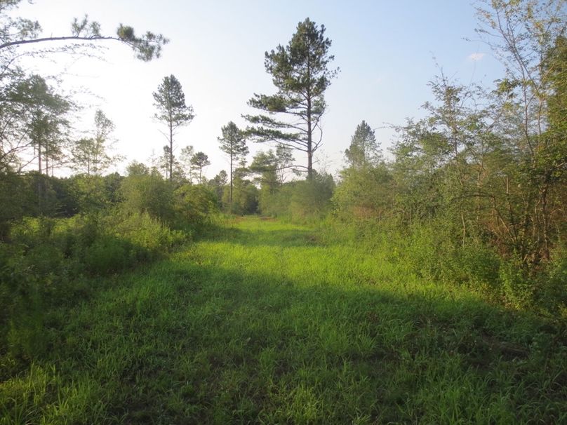 51295E52-3DE8-4A11-952A-56450E0C68BA_1_105_c