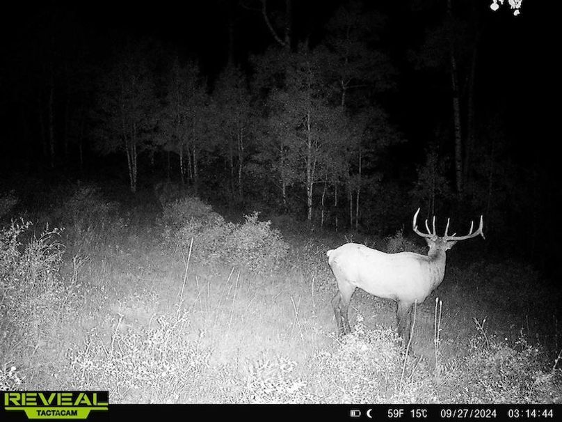 864049052055672-30-4-09272024031444-HD-W1001255 (1)