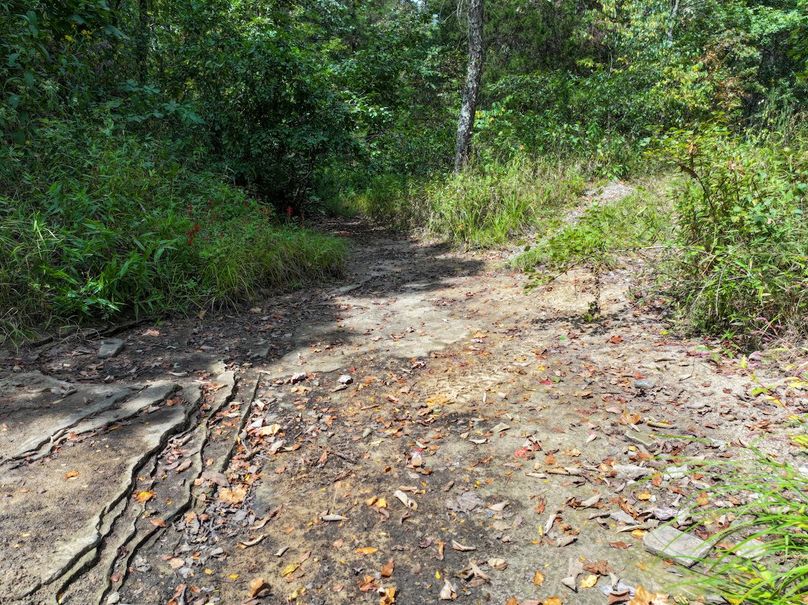 DJI_20250904124947_0597_D