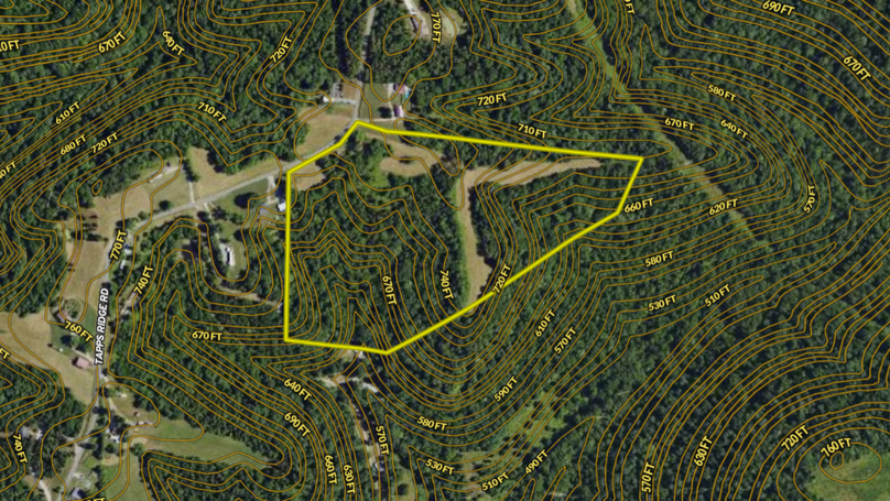 Screenshot 2024-07-26 115700