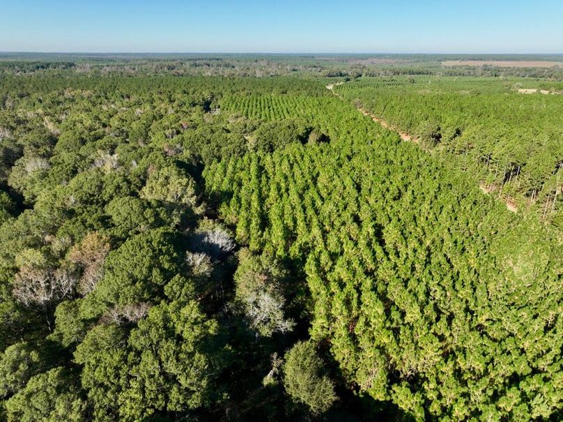 dji_fly_20251031_101034_995_1761919964227_photo