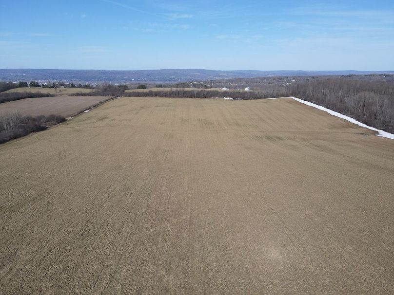 DJI_0311