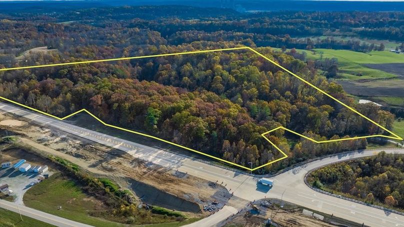 85-z 46585 Morning Star134-2