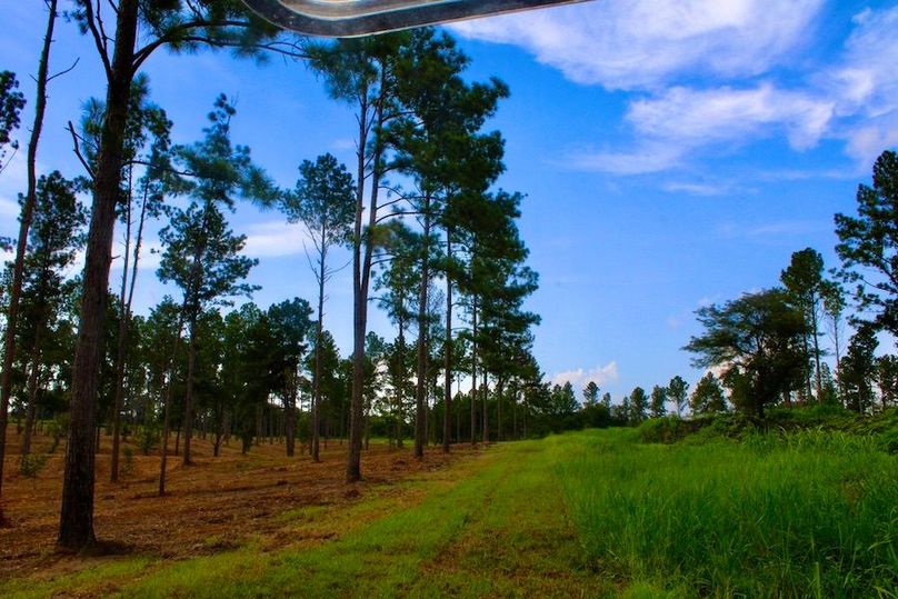 26A2AFB4-B689-4774-AF68-EDECAB30AAA3_1_105_c