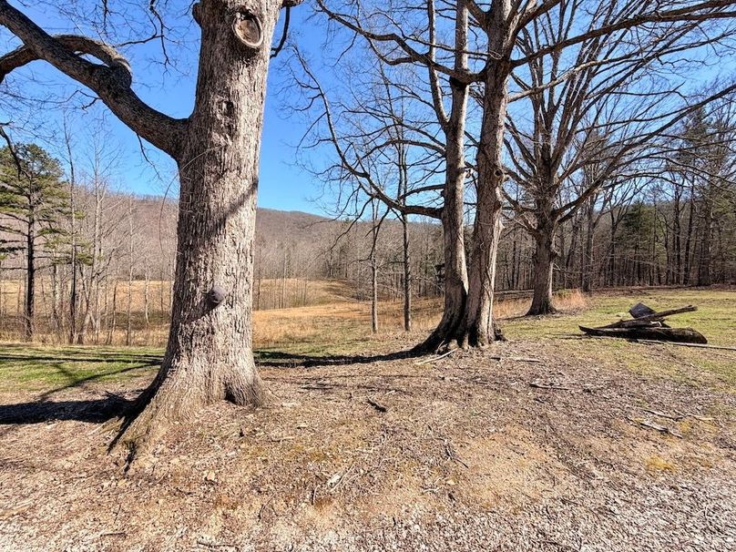 Morgan Co TN 310.833 Schneller_56