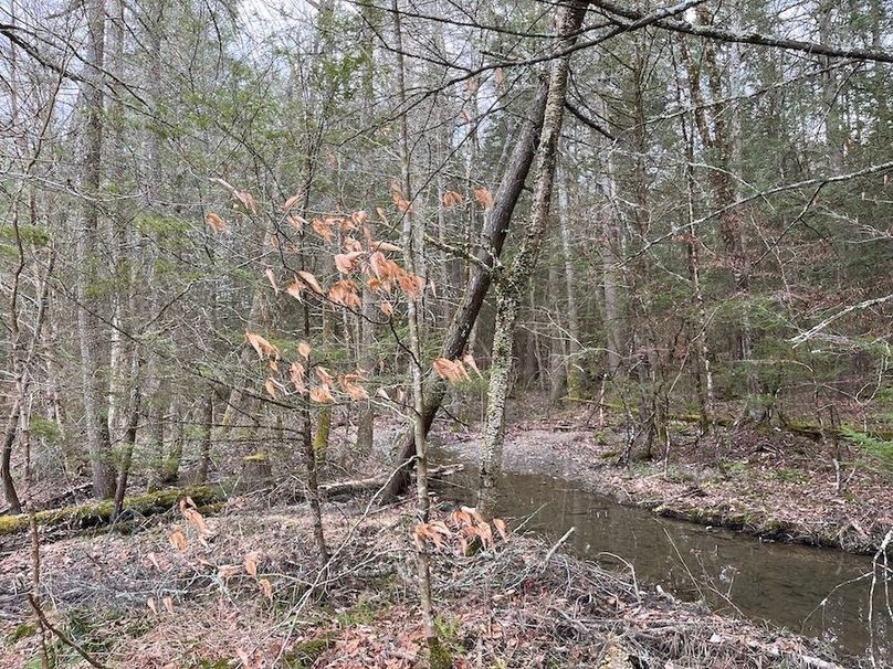 Tioga_28.87_Shangraw Photo 32