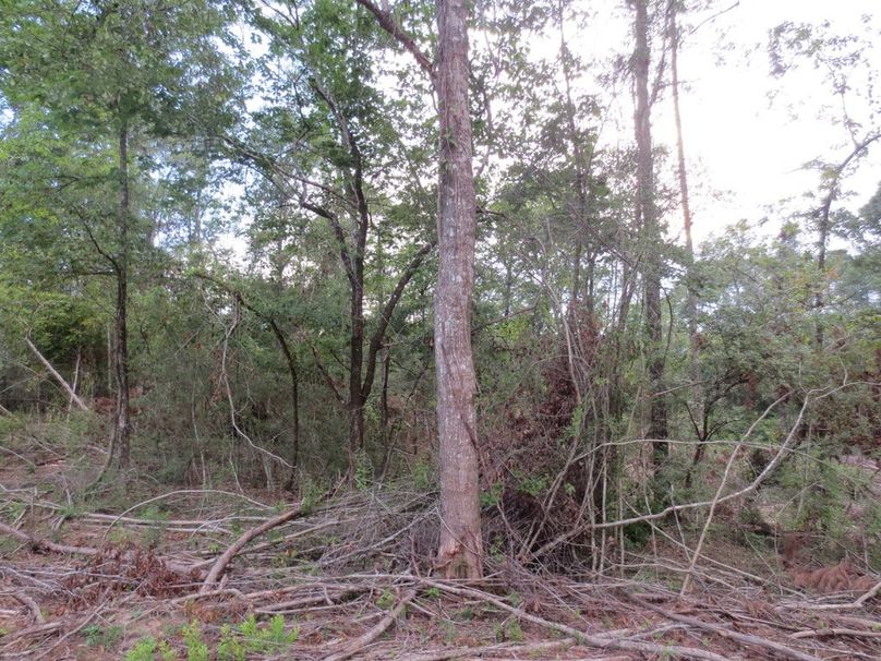 9A11607C-A9AB-44AE-BC76-10BD11848DC2_1_105_c