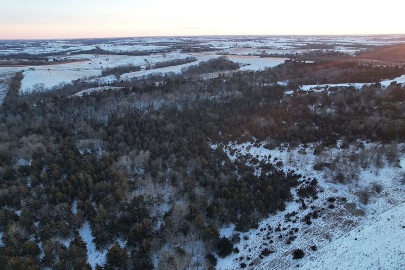 DJI_0538