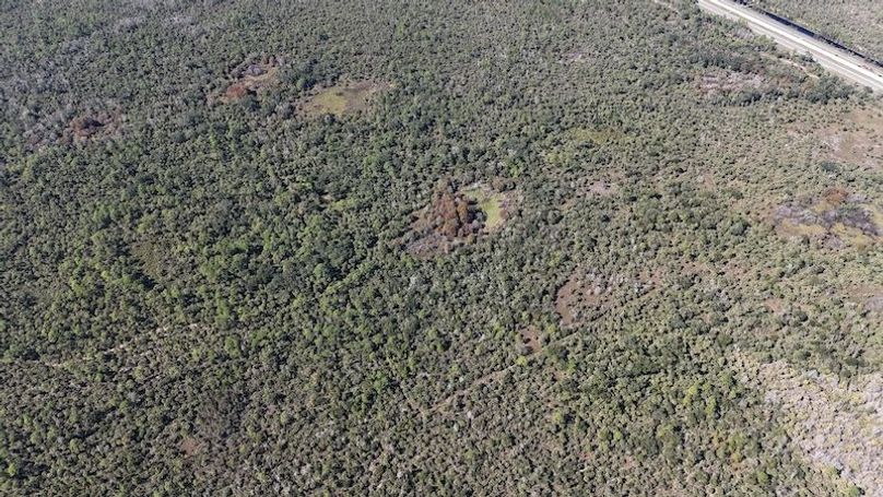 DJI_20251121121444_0009_D