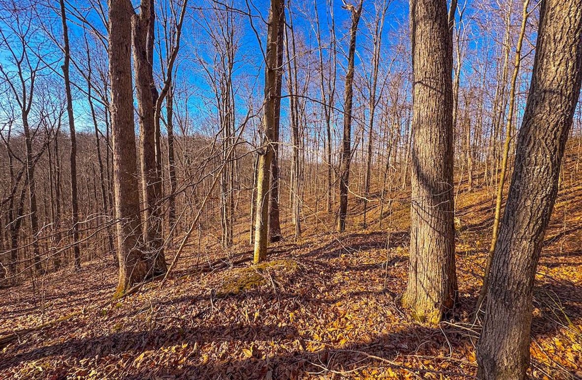 Lewis, WV 82.87 AC Barger-01