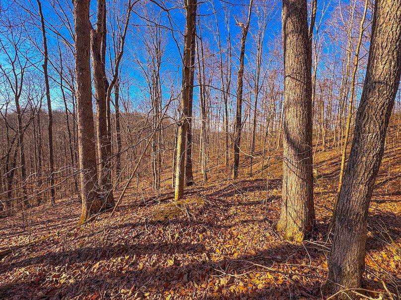 Lewis, WV 82.87 AC Barger-01