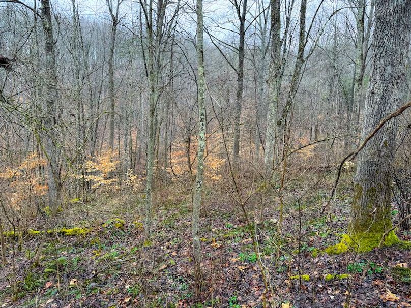 Ritchie, WV 64 AC Hall New Pics-05