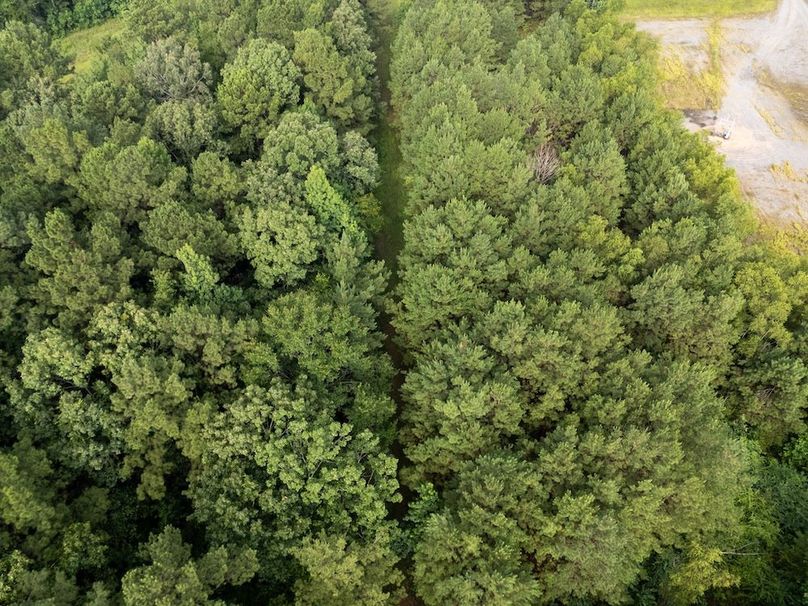 10 Panola Co. 40ac - Rouse-40