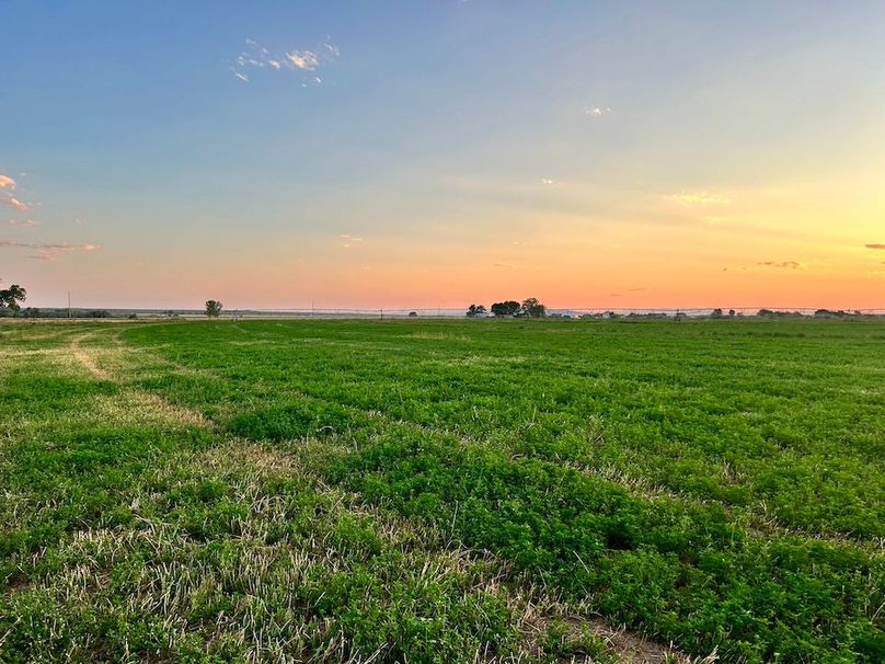 DEC7DCB7-F259-418B-9399-DE1C5161E766