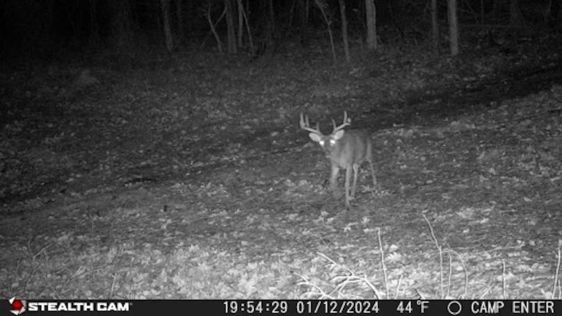 24011219542801001303