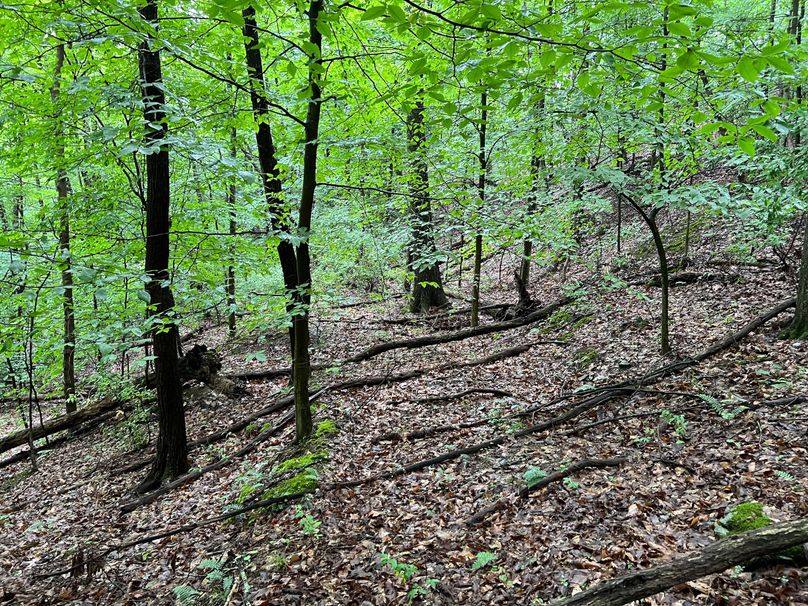 Wirt, WV 150.75 AC Tinnell-43