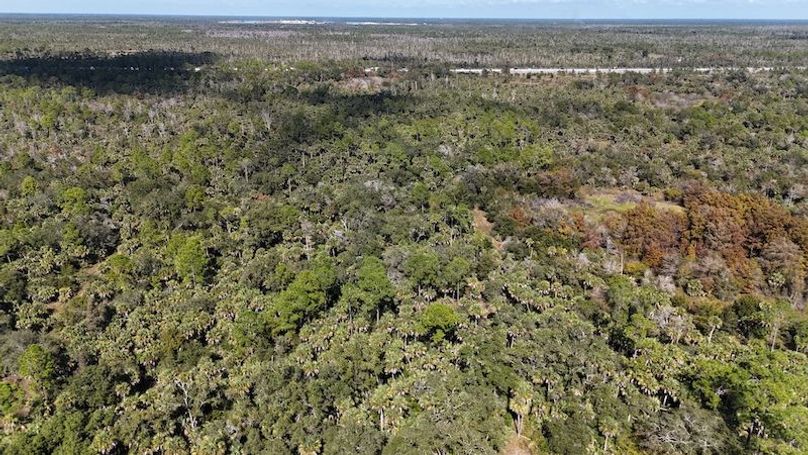 DJI_20251121124917_0038_D