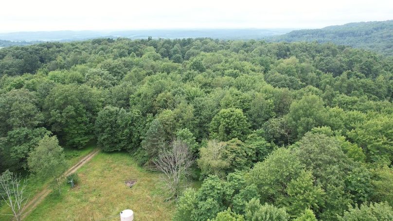 dji_fly_20250714_140436_426_1752537457431_photo