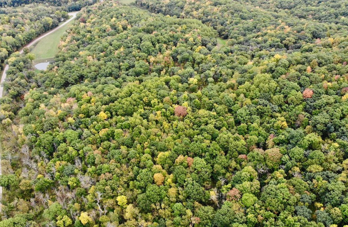 Monroe 66.23 - 4 of 46