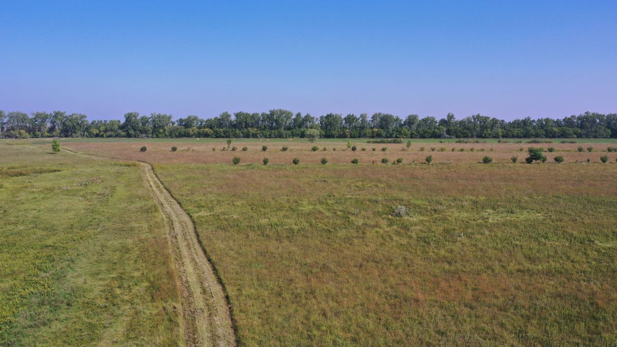 Rare North Dakota Hunting Property Whitetail Properties