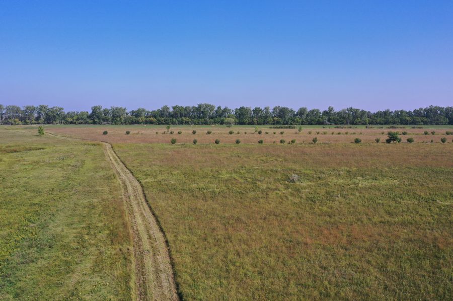 DJI_0261