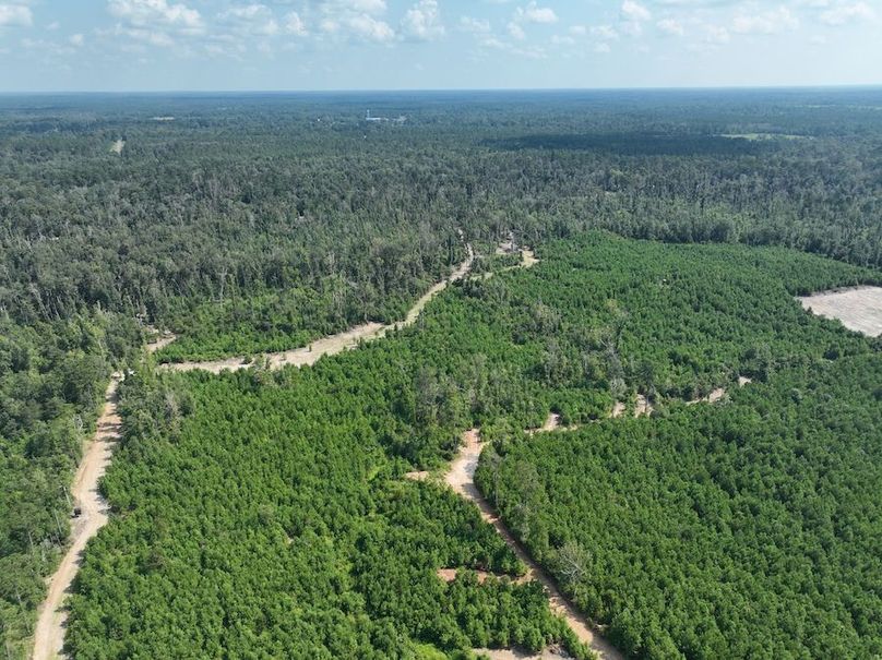 dji_fly_20240814_114456_753_1723676231592_photo