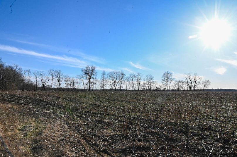 vandalia 450 (2)-2218