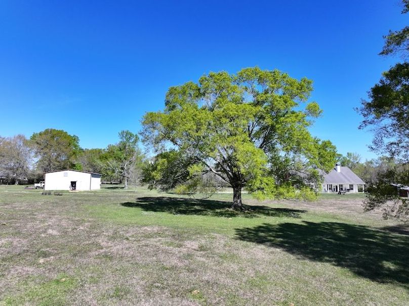 dji_fly_20260317_094248_0418_1773768870679_photo