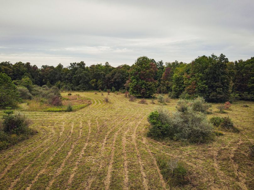 dji_fly_20230923_081954_121_1695471632362_photo