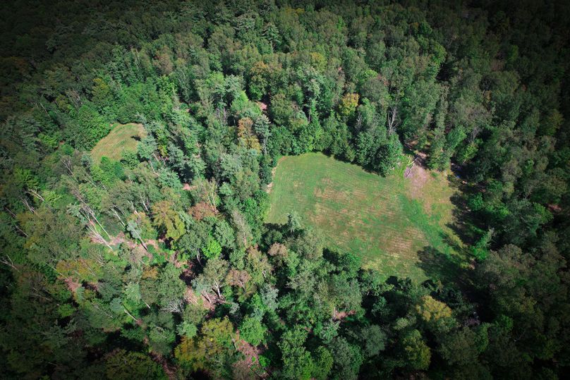 dji_fly_20230912_125744_303_1694538321145_photo