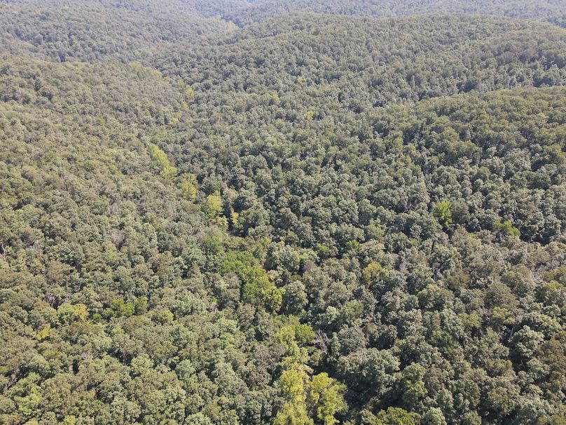 dji_fly_20250818_150656_659_1755547648034_photo