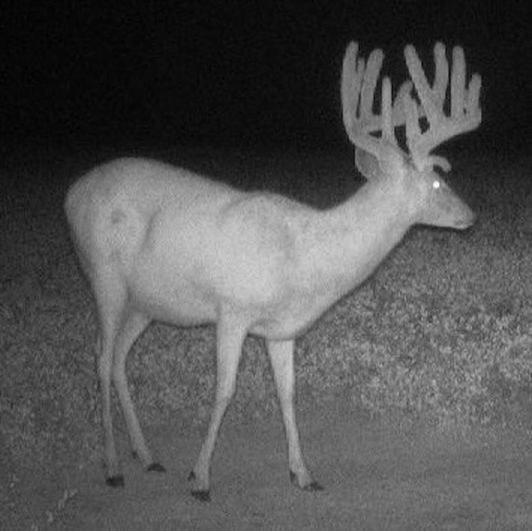 Copy of Copy of IMG_9021