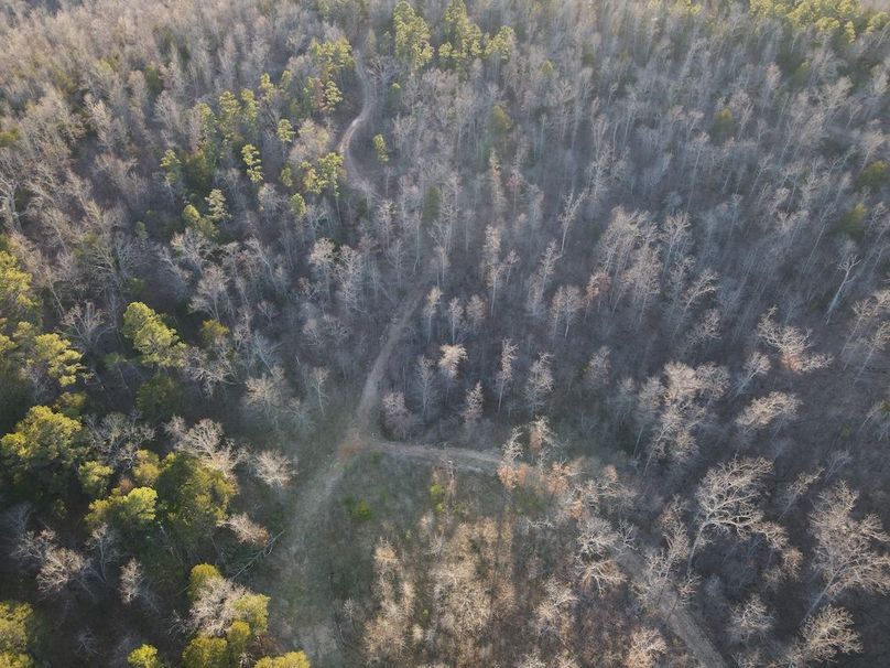 DJI_0321