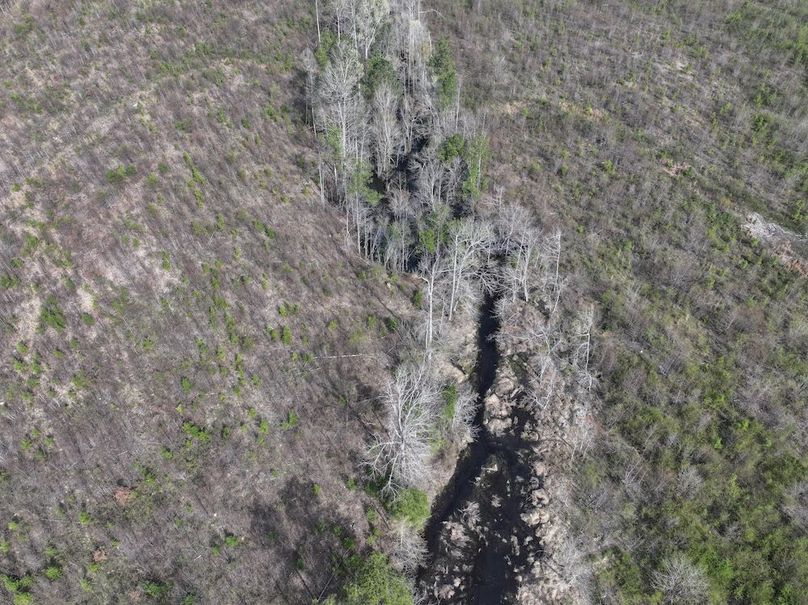 DJI_20260303063126_0531_D