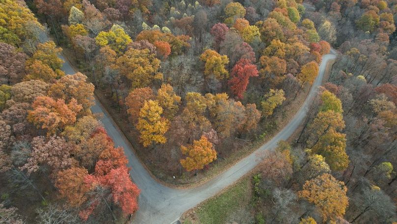 dji_fly_20251105_122200_898_1762380938093_photo