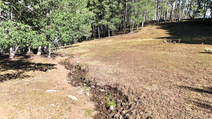 DJI_20250726170029_0081_D