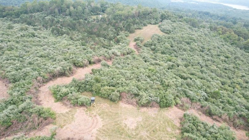 dji_fly_20250806_125328_552_1754499847854_photo