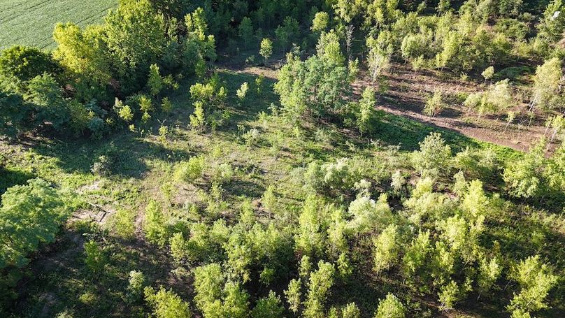 Ontario_19.1_Schmucker_Photos_30