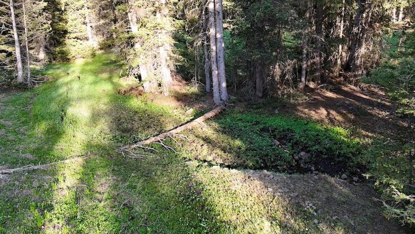 DJI_20250613194434_0077_D