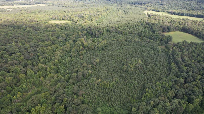DJI_0152