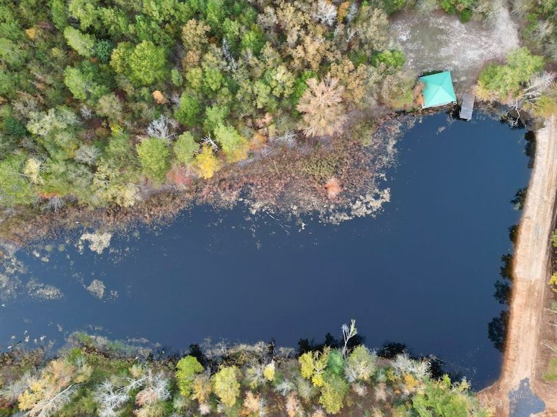 dji_fly_20251103_174006_418_1762260602243_photo