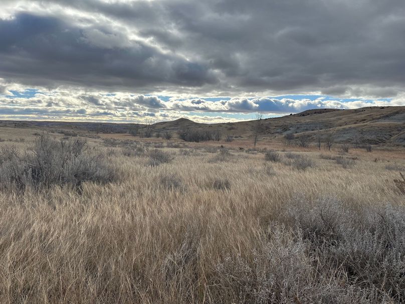 FA3F3178-91B0-41EC-B951-0AA1CD318F59