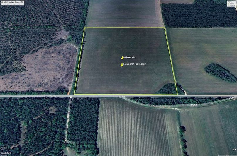 Aerial #5 Approx. 40 Acres Baldwin County, AL