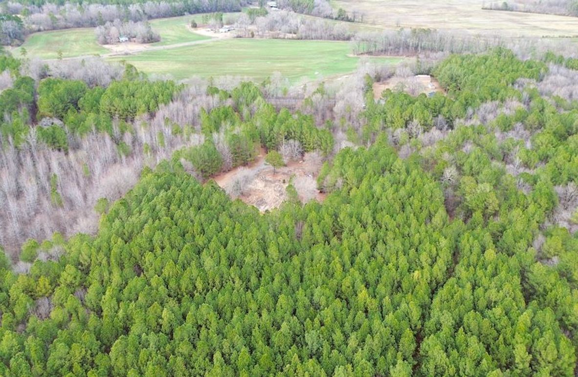 #1 drone homesite